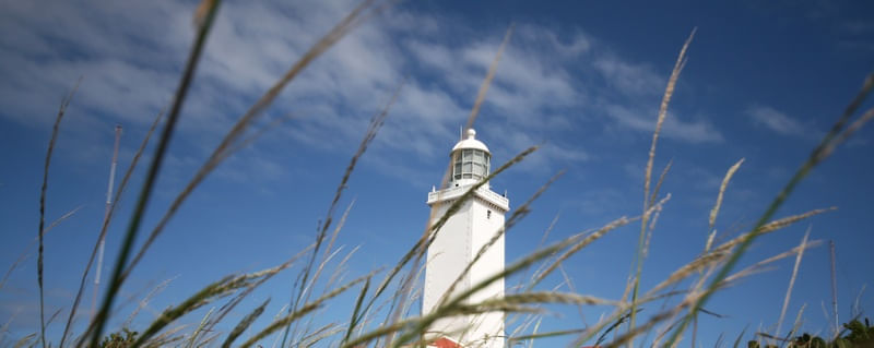 FAROL DE SANTA MARTA VIII