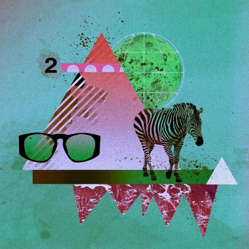 SLOW ZEBRA