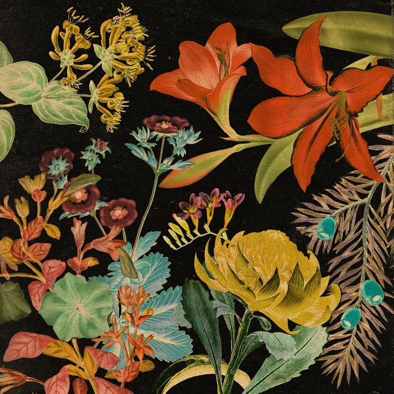 FLOREIO #2