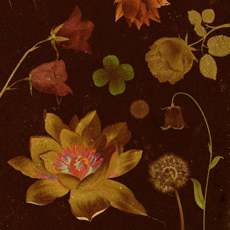 FLEURS DE SOUVENIR 2