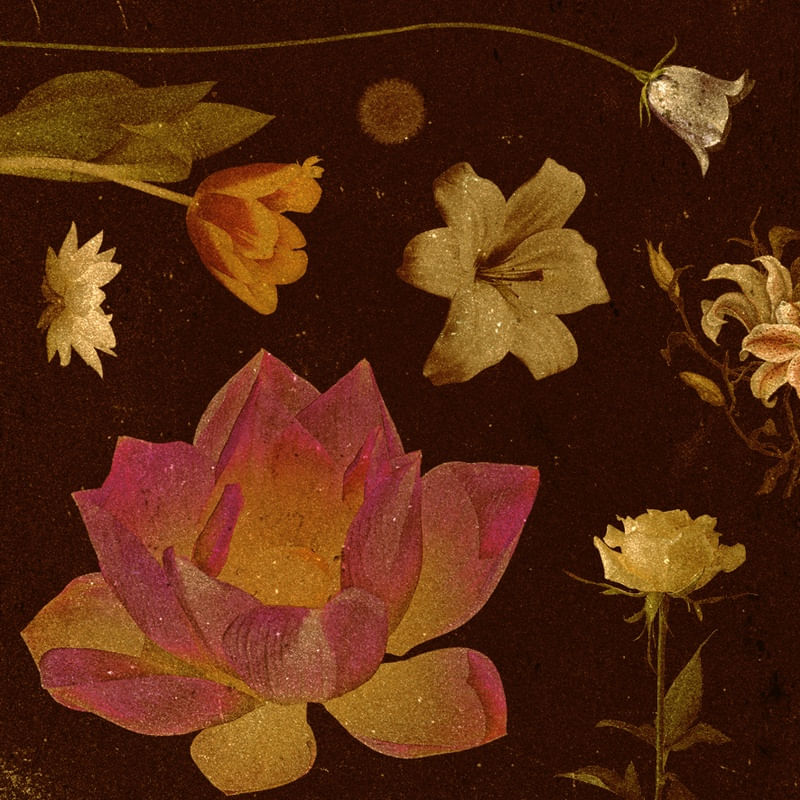 FLEURS DE SOUVENIR 3