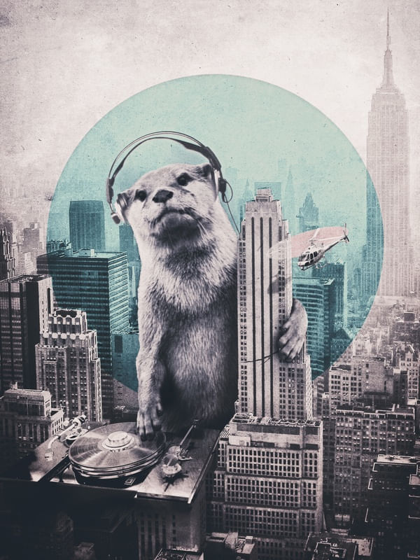 DJ