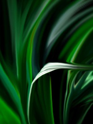 ABSTRATO FOLHAS NATUREZA VERDE