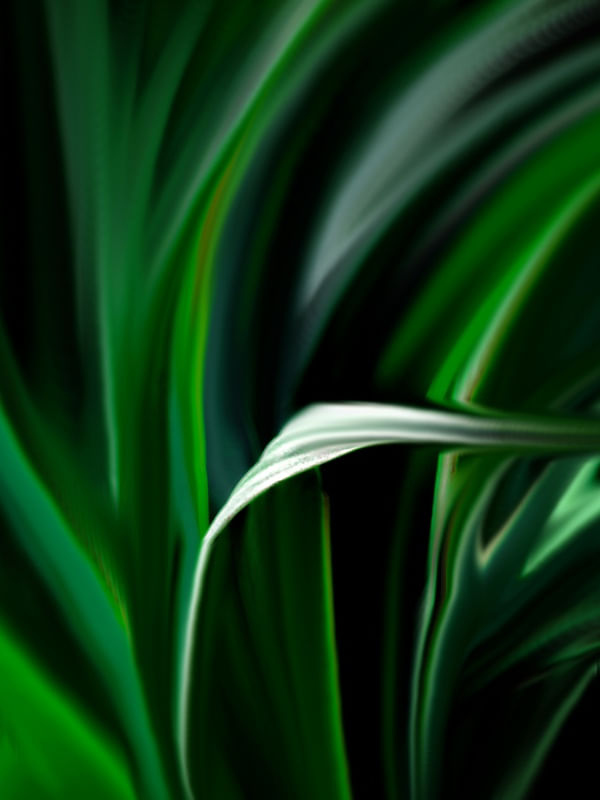 ABSTRATO FOLHAS NATUREZA VERDE