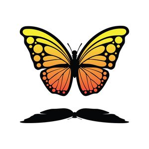 A BORBOLETA VOOU