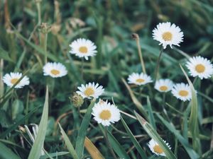 A LITTLE HAPPINESS