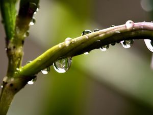 REFLEXO NA GOTA