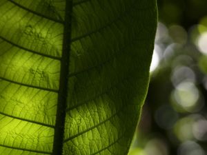 MEU JARDIM 2