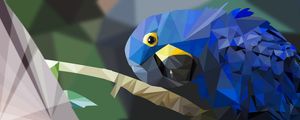 BLUE ARARA LP