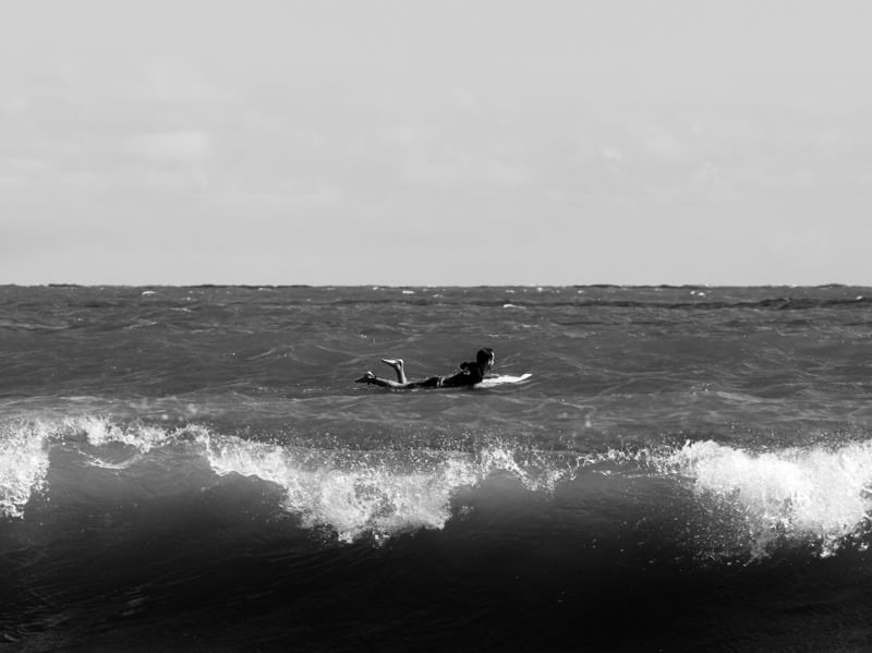 ÁGUAS NEGRAS