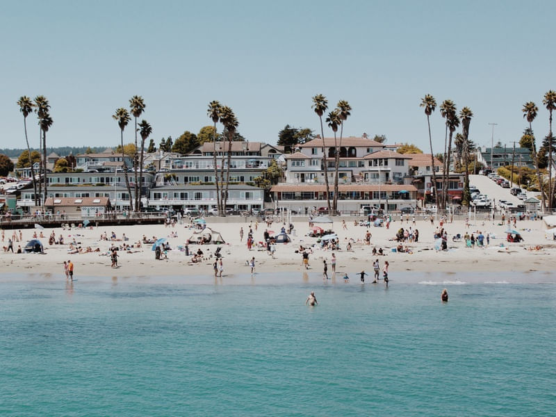 CALIFORNIA VIBE II