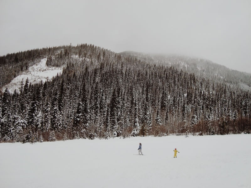 SNOWLAND