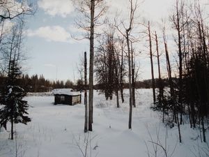 SNOWLAND II