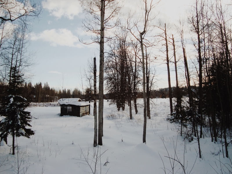 SNOWLAND II
