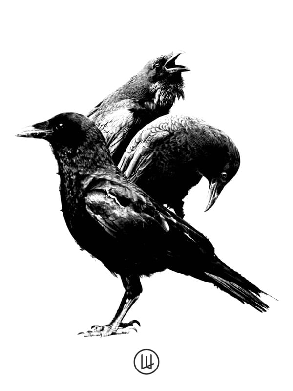 BIRDS AND TERROR