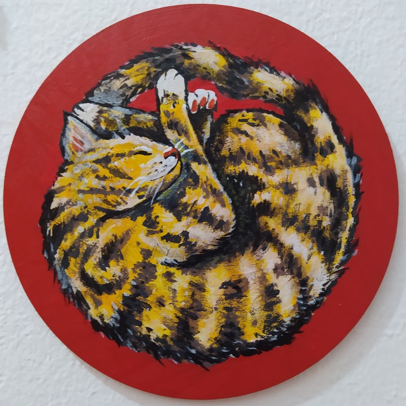 GATO FUBÁ