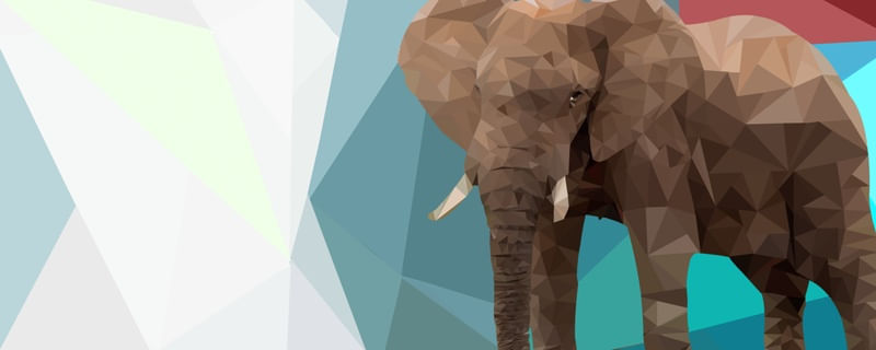 ELEPHANT SPACE