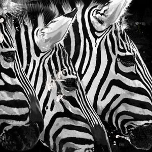 FAUNA 3