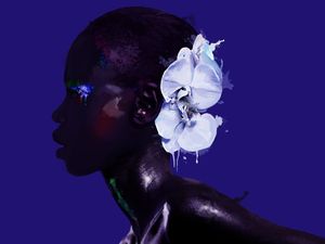 BLACK BEAUTY 1