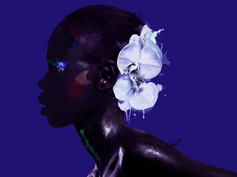 BLACK BEAUTY 1
