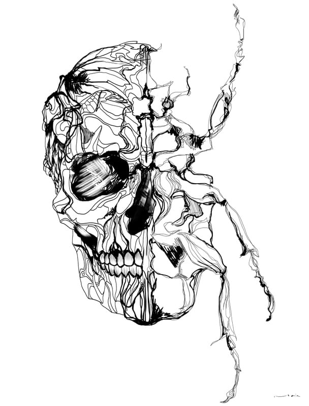 SKULLBUG®