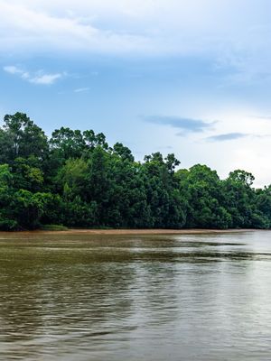 REGIÃO AMAZÔNICA - DÍPTICO DIREITA