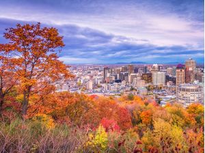 PAISAGEM OUTONO NO CANADÁ