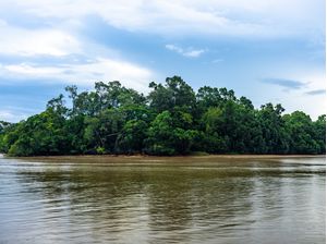 REGIÃO AMAZÔNICA - PAISAGEM