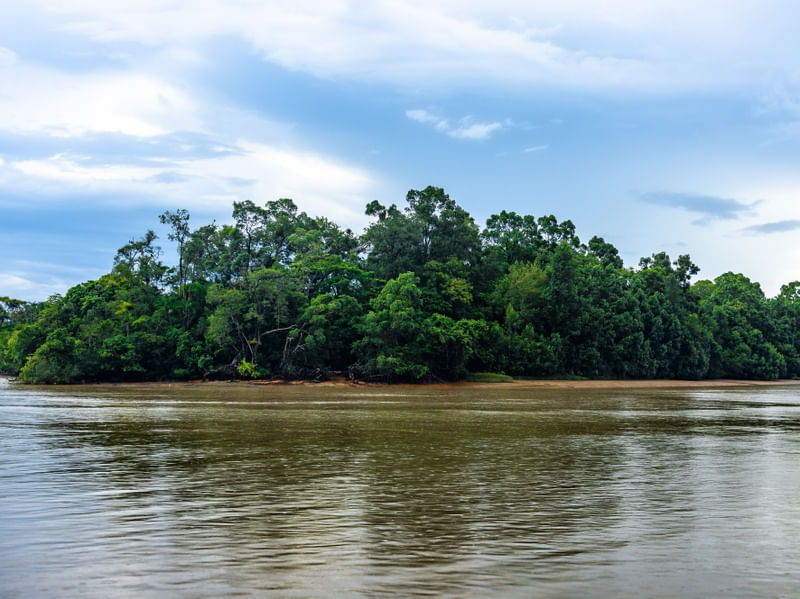 REGIÃO AMAZÔNICA - PAISAGEM