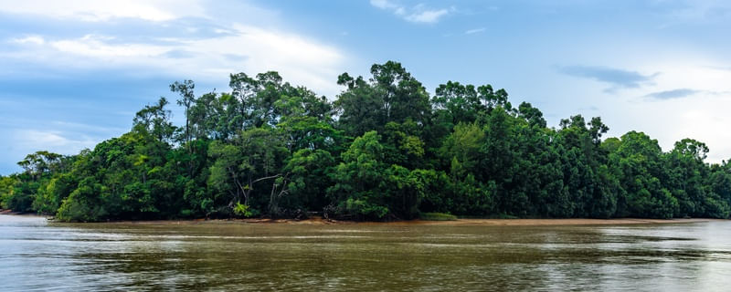 REGIÃO AMAZÔNICA - PANORÂMICA