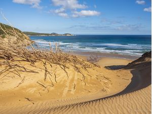 WILSONS PROMONTORY, AUSTRALIA
