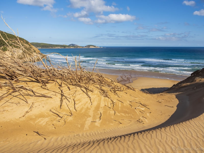WILSONS PROMONTORY, AUSTRALIA