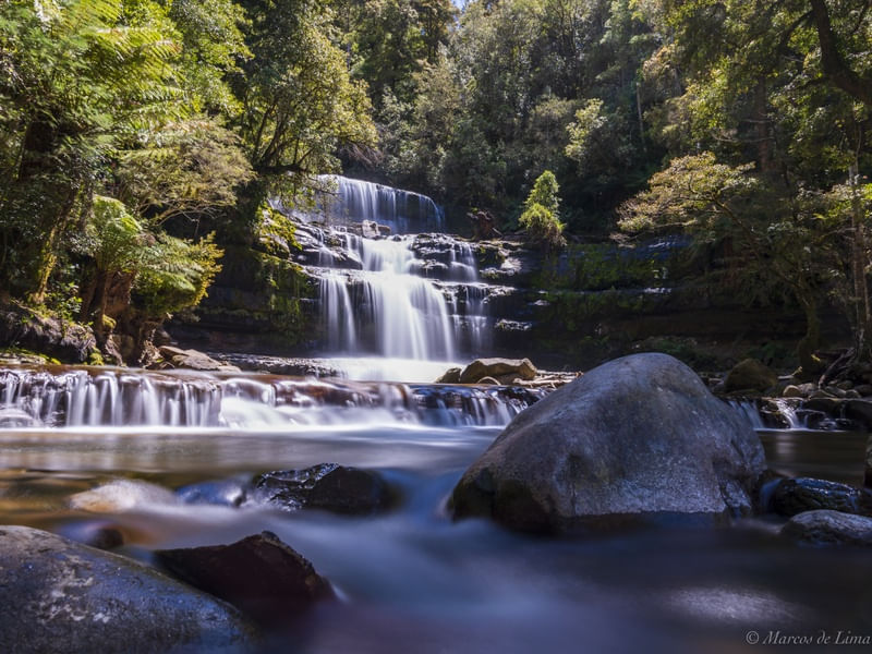 RUSSELS FALLS, TASMANIA