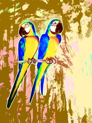 ARARA DUPLA
