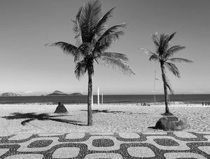 FROM IPANEMA