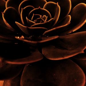 TEXTURAS_N02