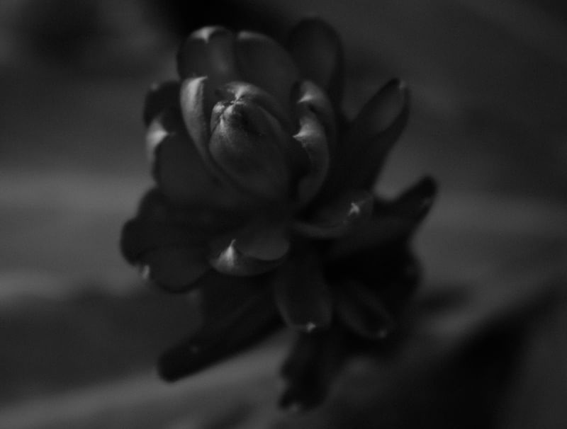 MACRO EM LOWKEY