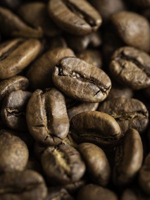 CAFÉ ESPECIAL 3