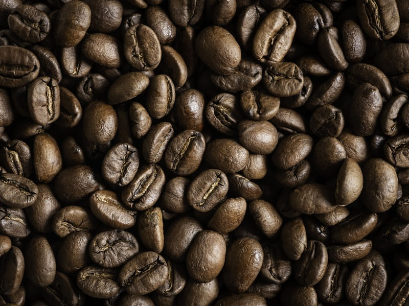 CAFÉ ESPECIAL 5