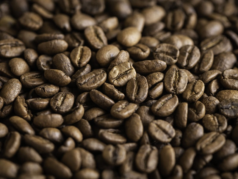 CAFÉ ESPECIAL 7