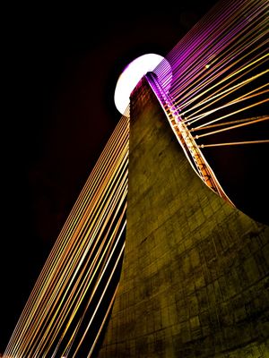 PONTE ESTAIADA GOLDEN PINK PORTRAIT