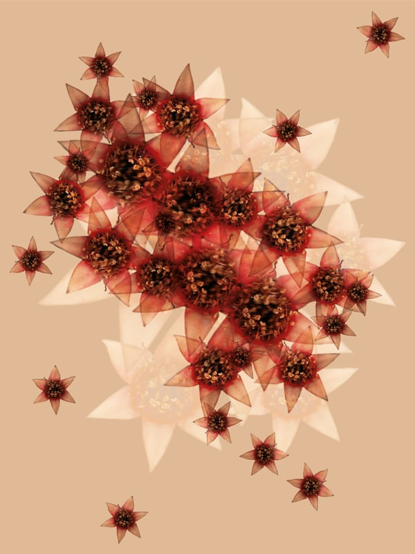 FLORES E AMORES 07