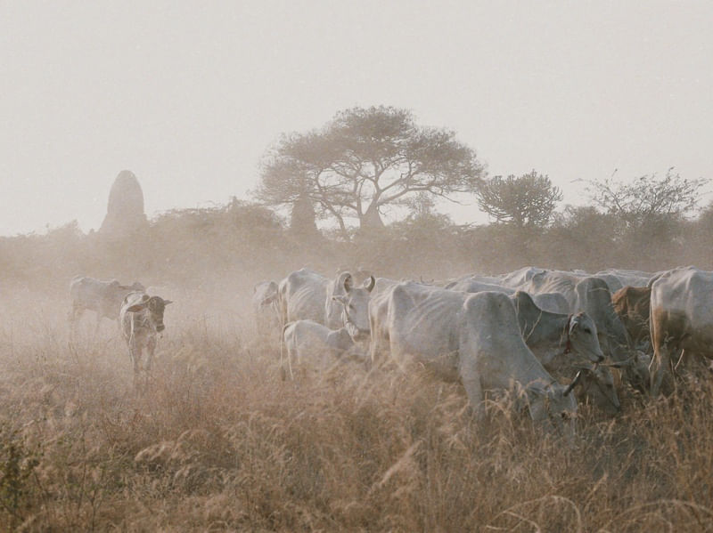 BAGAN BY @FEFS