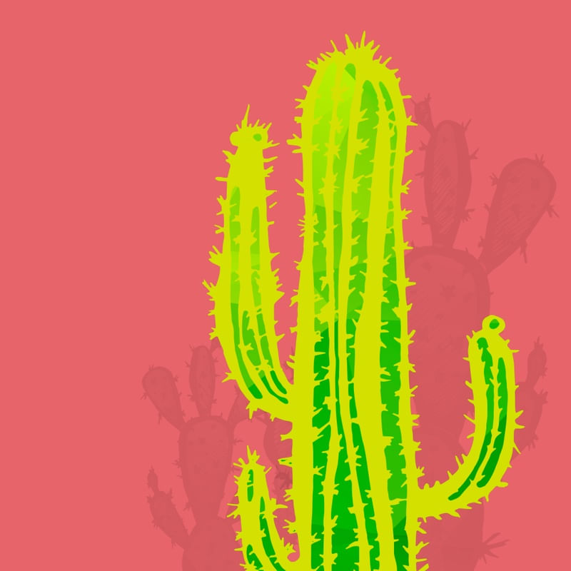 NEON CACTOS