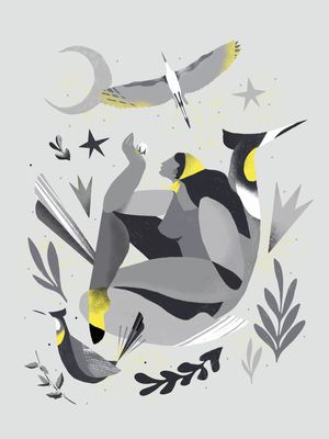 ALPHA | NAIF II
