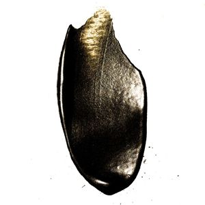 INK SPLASH V - QUADRADO