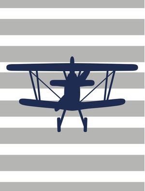 AVIÃO 01