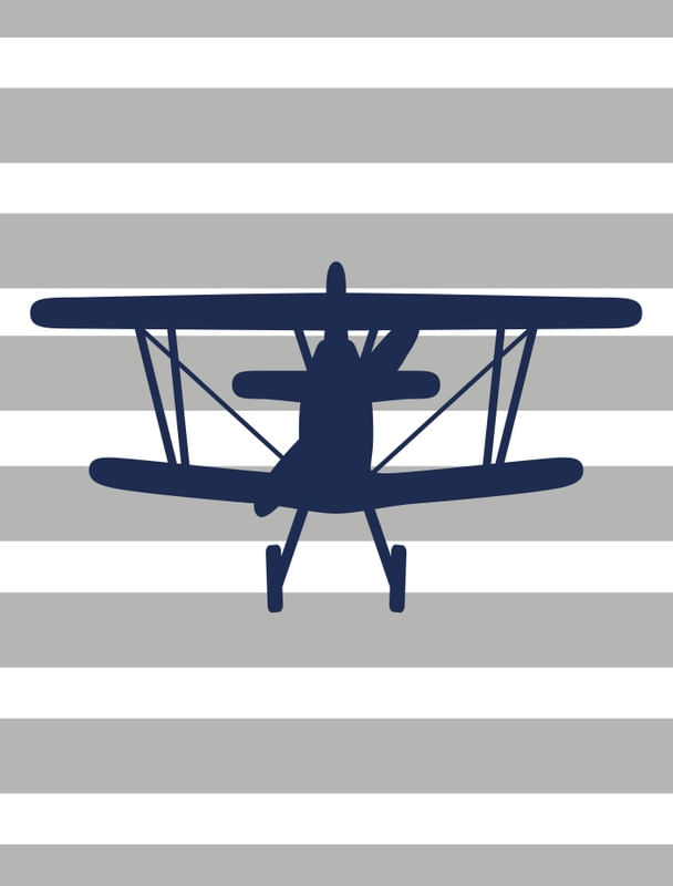 AVIÃO 01