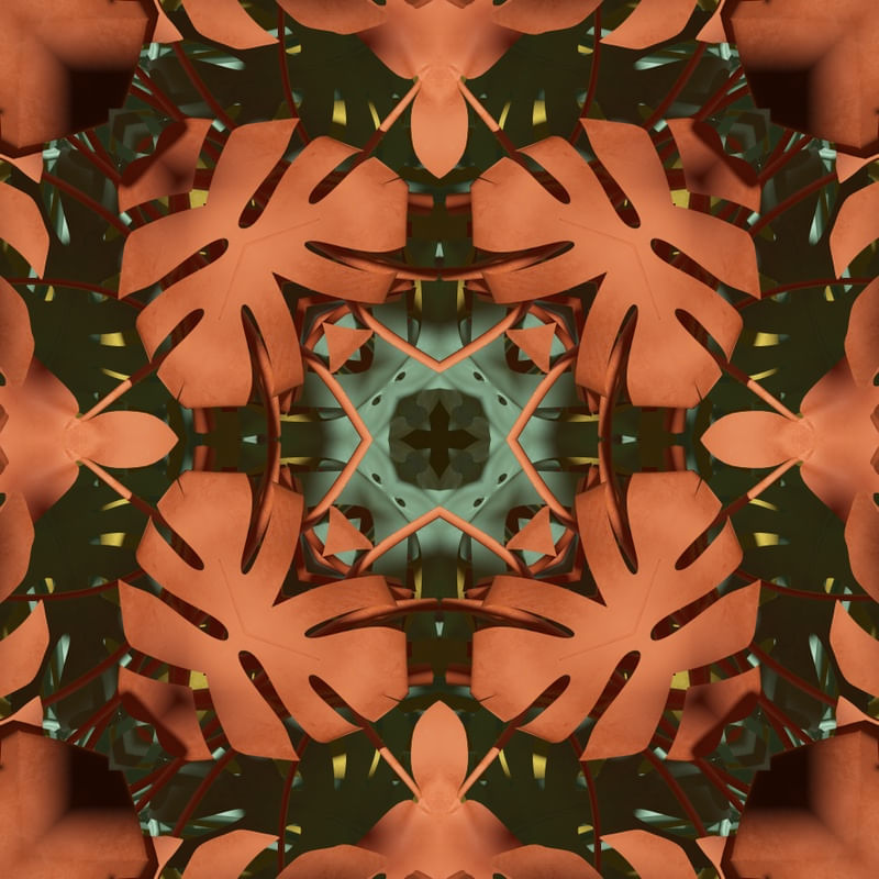 FLORESTA PENSANTE V
