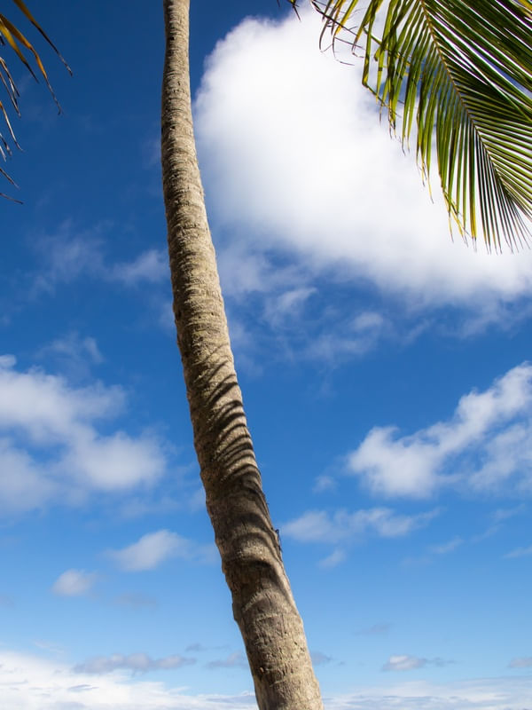 CÉU AZUL NA BAHIA
